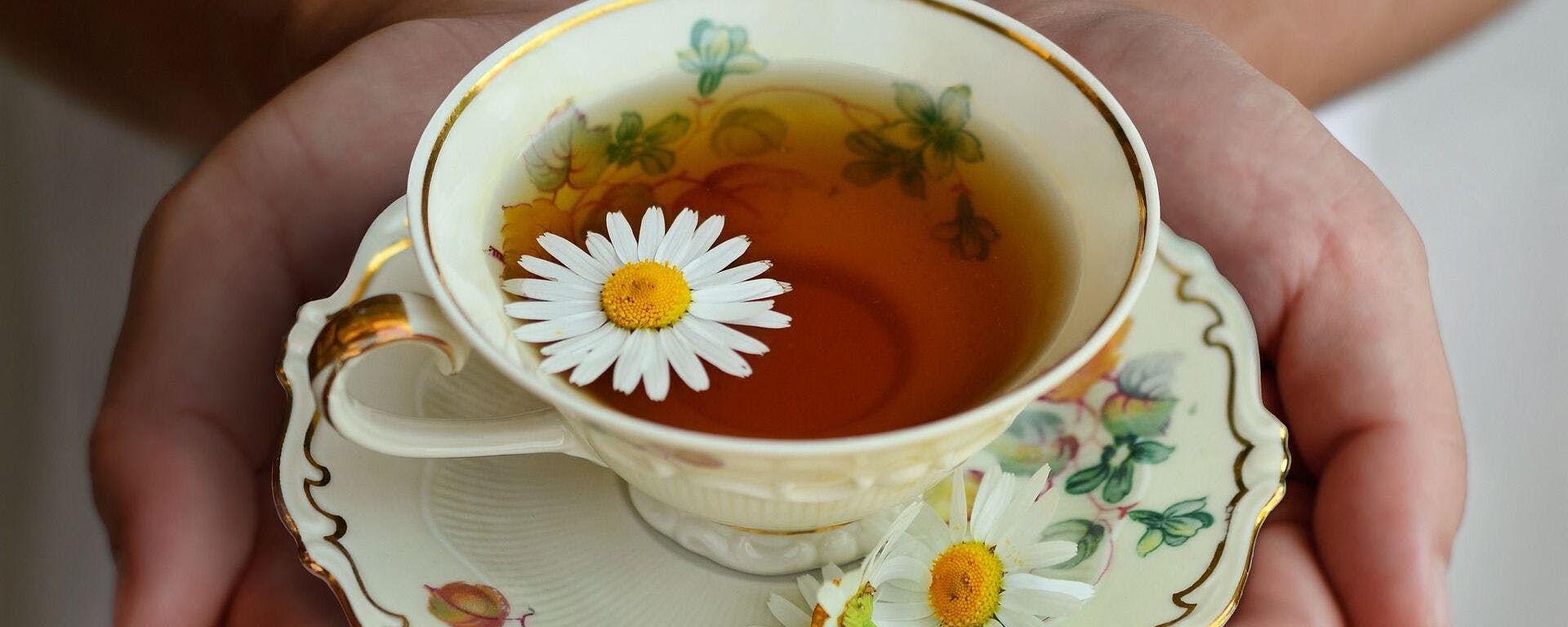 تناول شاي «البابونج» قبل النوم بـ45 دقيقة وتخلص من الأرق مثل صلاح