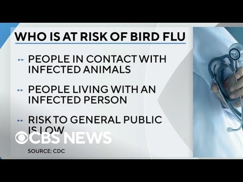 إنفلونزا الطيور تتفشى في أمريكا والإبلاغ عن إصابة بشرية مؤكدة